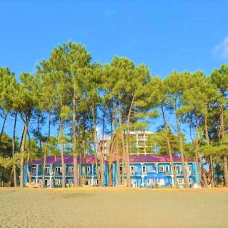 Evrika Hotel Shekvetili Exterior foto